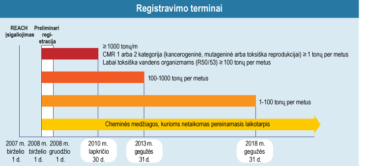 Registravimo terminai