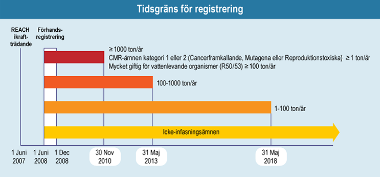 Tidsfrister för registrering